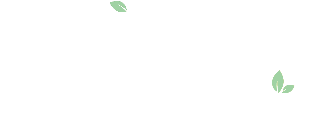 江南枝 - 源自江南原产地的匠心好茶,一盏江南茶,半日闲时光